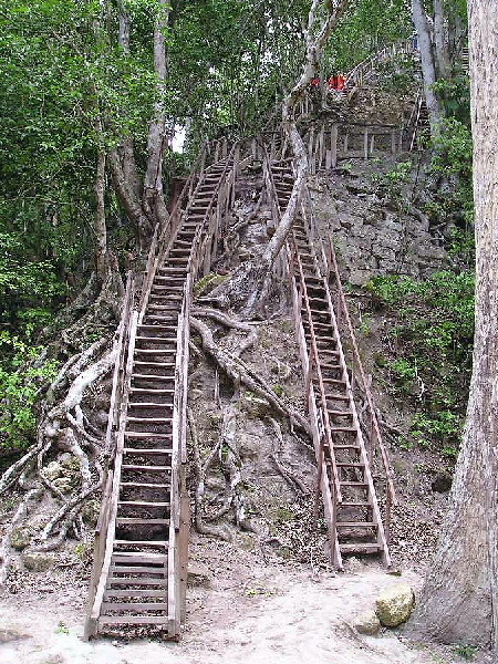 Ladders to top of Temple 4