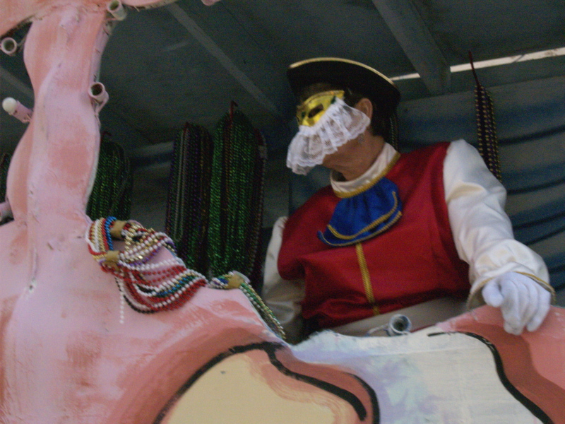 Mardi Gras, New Orleans, February 2, 2008 -- Krewe of Iris Yankee Doodle Dandy Dandy Rider