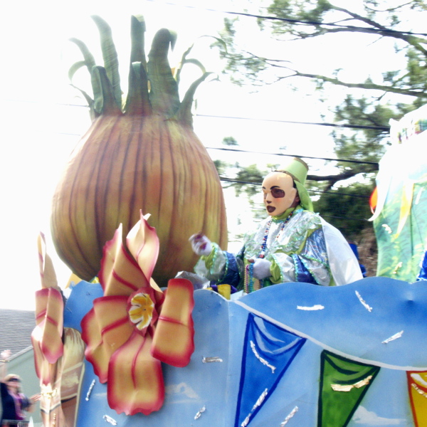 02/03/08 -- Vidalia Onion Festival Rider