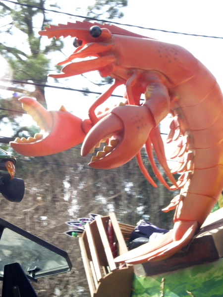 02/03/08 -- Maine Lobster Festival