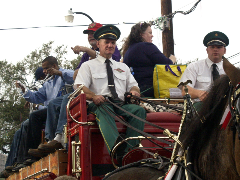 02/05/08 -- Budweiser Clydesdales Teamster