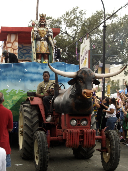 Mardi Gras, New Orleans, February 5, 2008 -- Zulu Social Aid & Pleasure Club Forest Kings