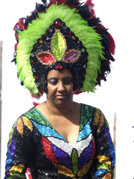 Mardi Gras, New Orleans, February 5, 2008 -- Zulu Social Aid & Pleasure Club Rider