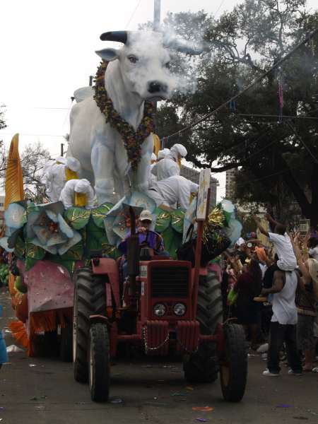 Mardi Gras, New Orleans, February 5, 2008 -- Krewe of Rex Boeuf Gras