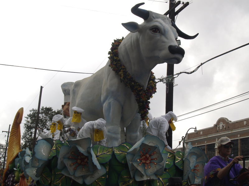 Mardi Gras, New Orleans, February 5, 2008 -- Krewe of Rex Boeuf Gras Riders