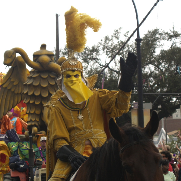 Mardi Gras, New Orleans, February 5, 2008 -- Krewe of Rex Rider