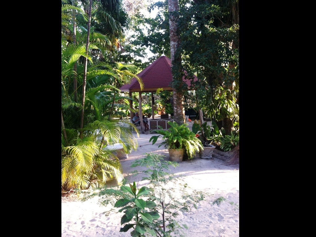 Nirvana Cottages Negril February 9, 2013
