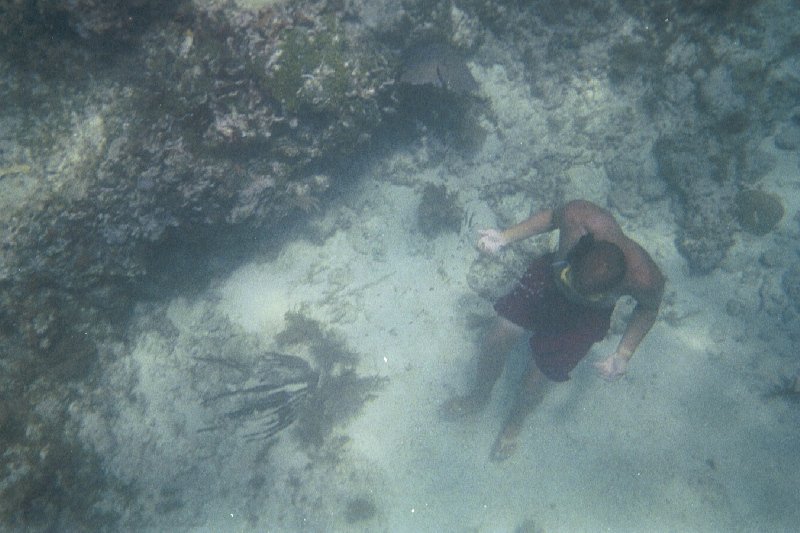 Ben Snorkeling on Hen & Chickens Reef, 07/18/04