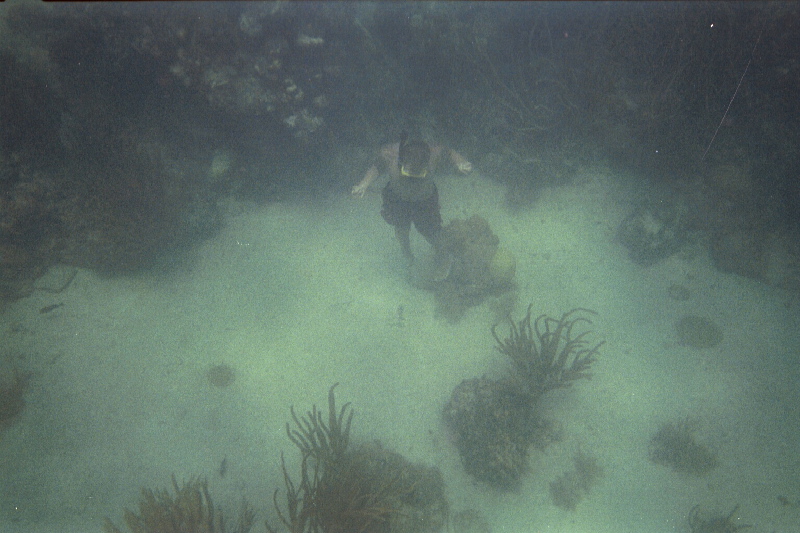 Ben, esnorkeling, Hen & Chickens Reef, 07/18/04